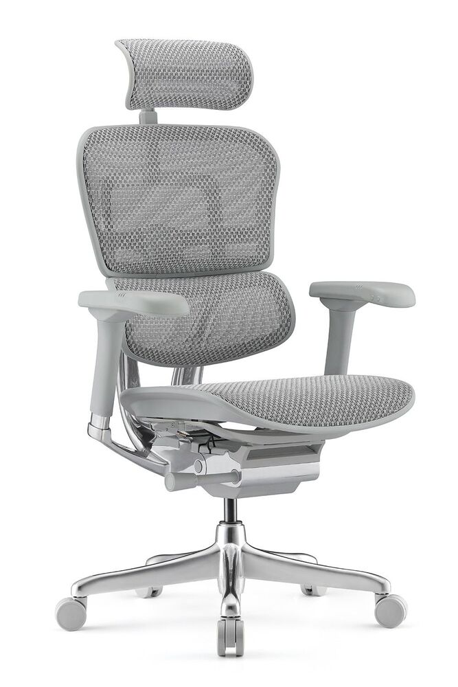 Кресло для руководителя Ergohuman Elite 2