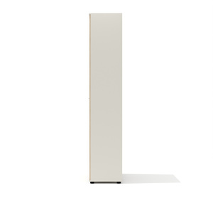 Шкаф-гардероб с выдвижной штангой